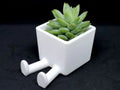 Succulent Planter Legged 3D Printed
