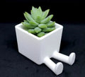 Succulent Planter Legged 3D Printed