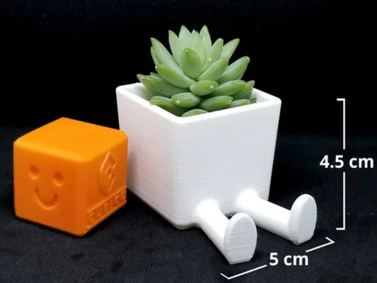 Succulent Planter Legged 3D Printed